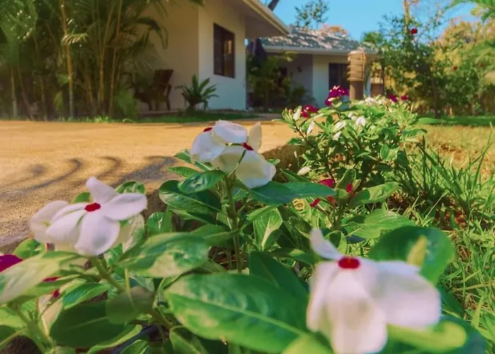 Buddha Retreat Hotel