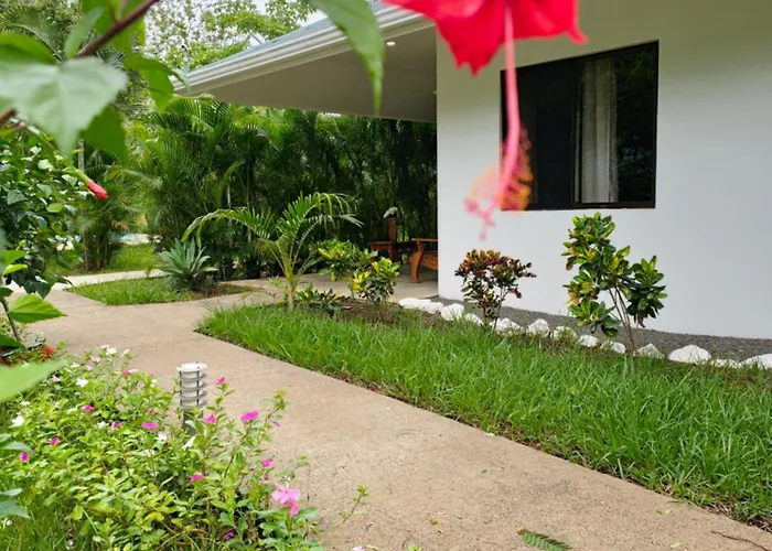 Buddha Retreat