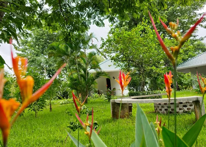 Hotel Buddha Retreat