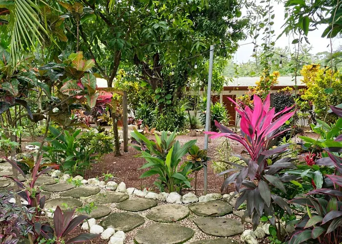 Buddha Retreat