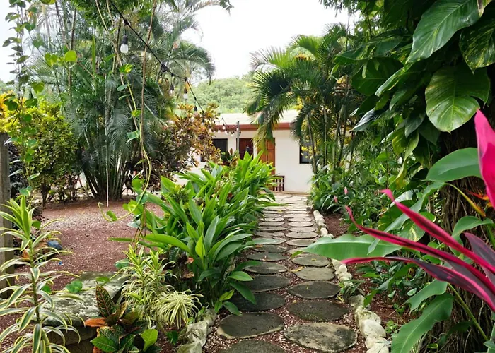 Buddha Retreat